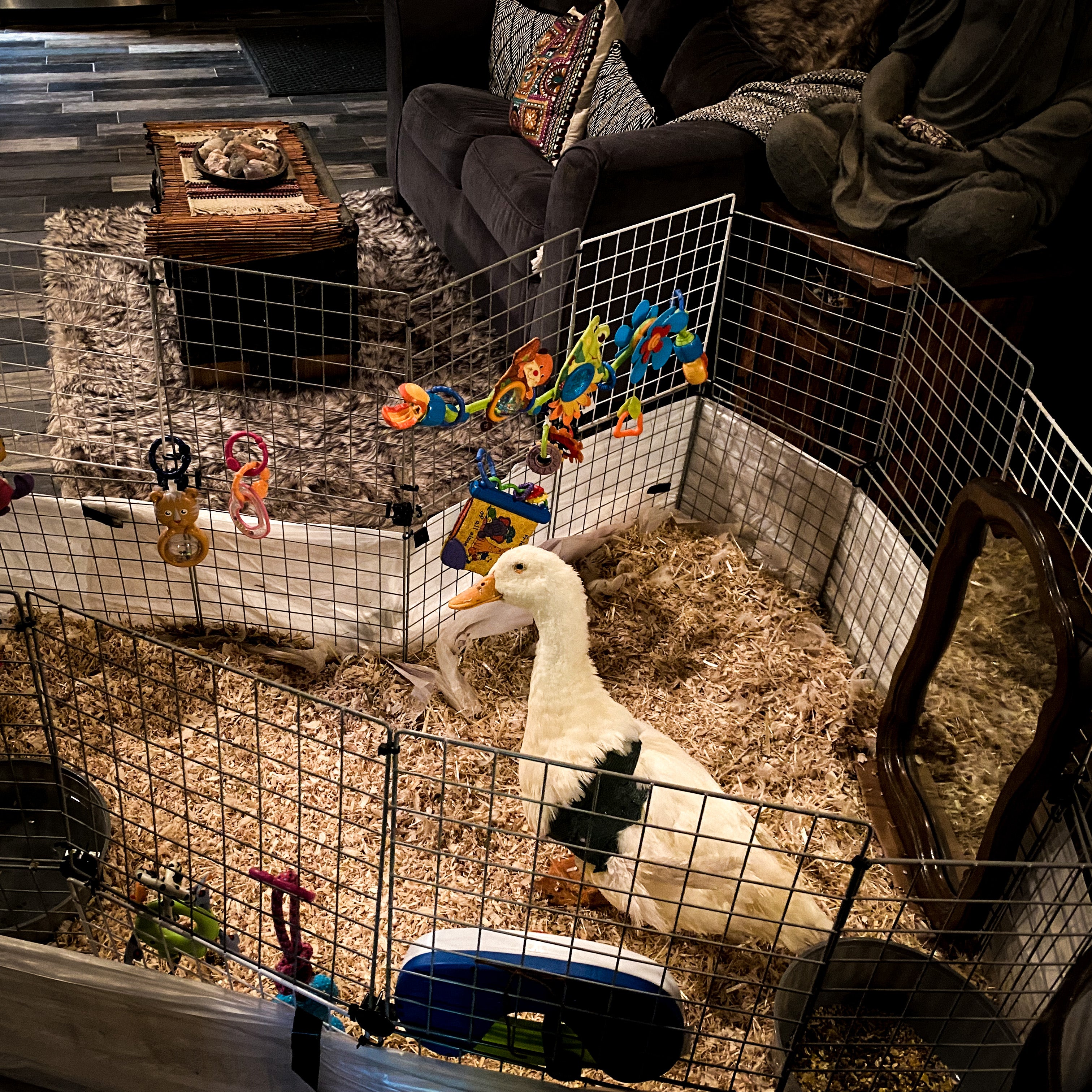 Creativity + Play