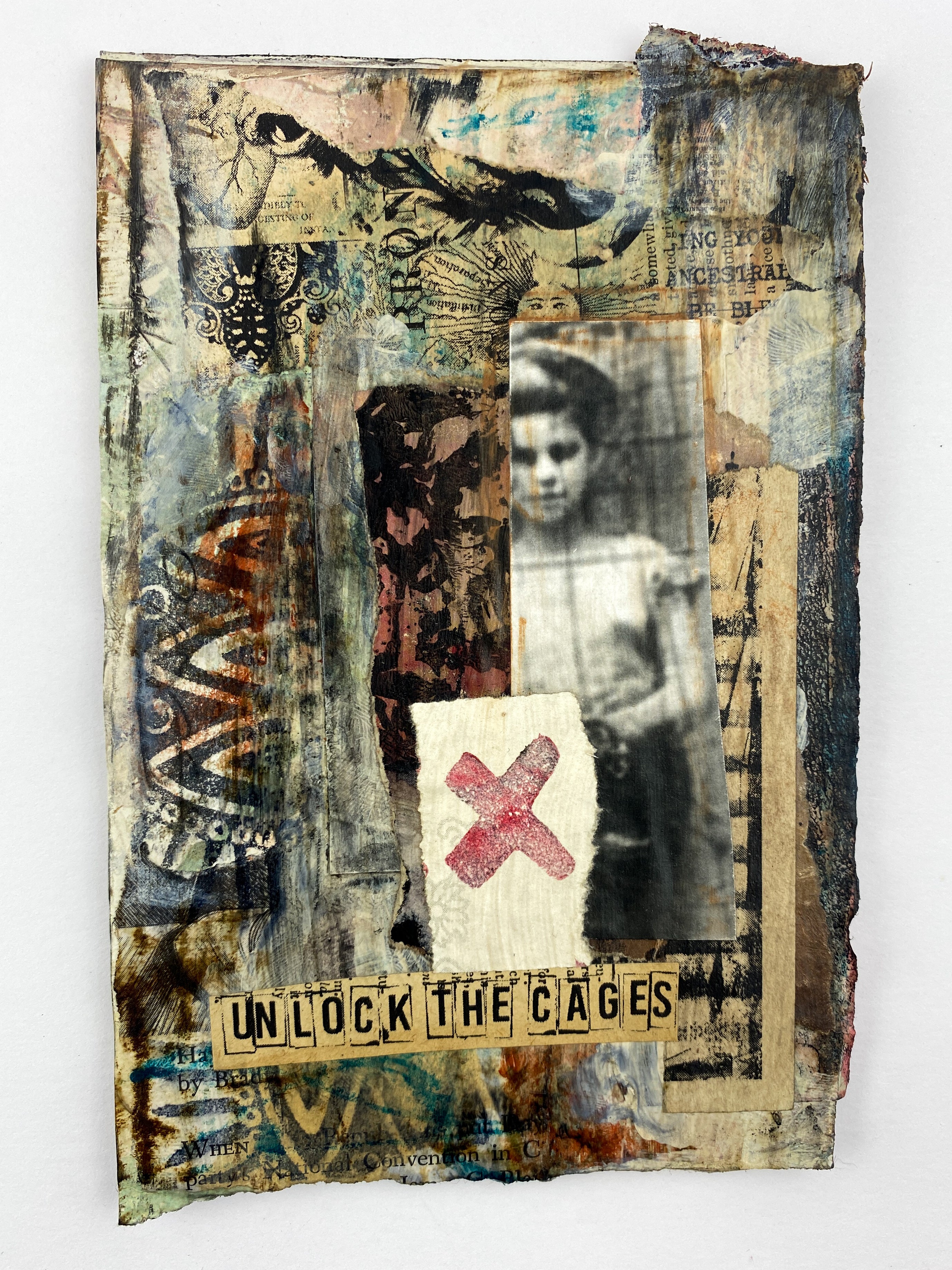 Unlock The Cages - Original Mixed Media Collage