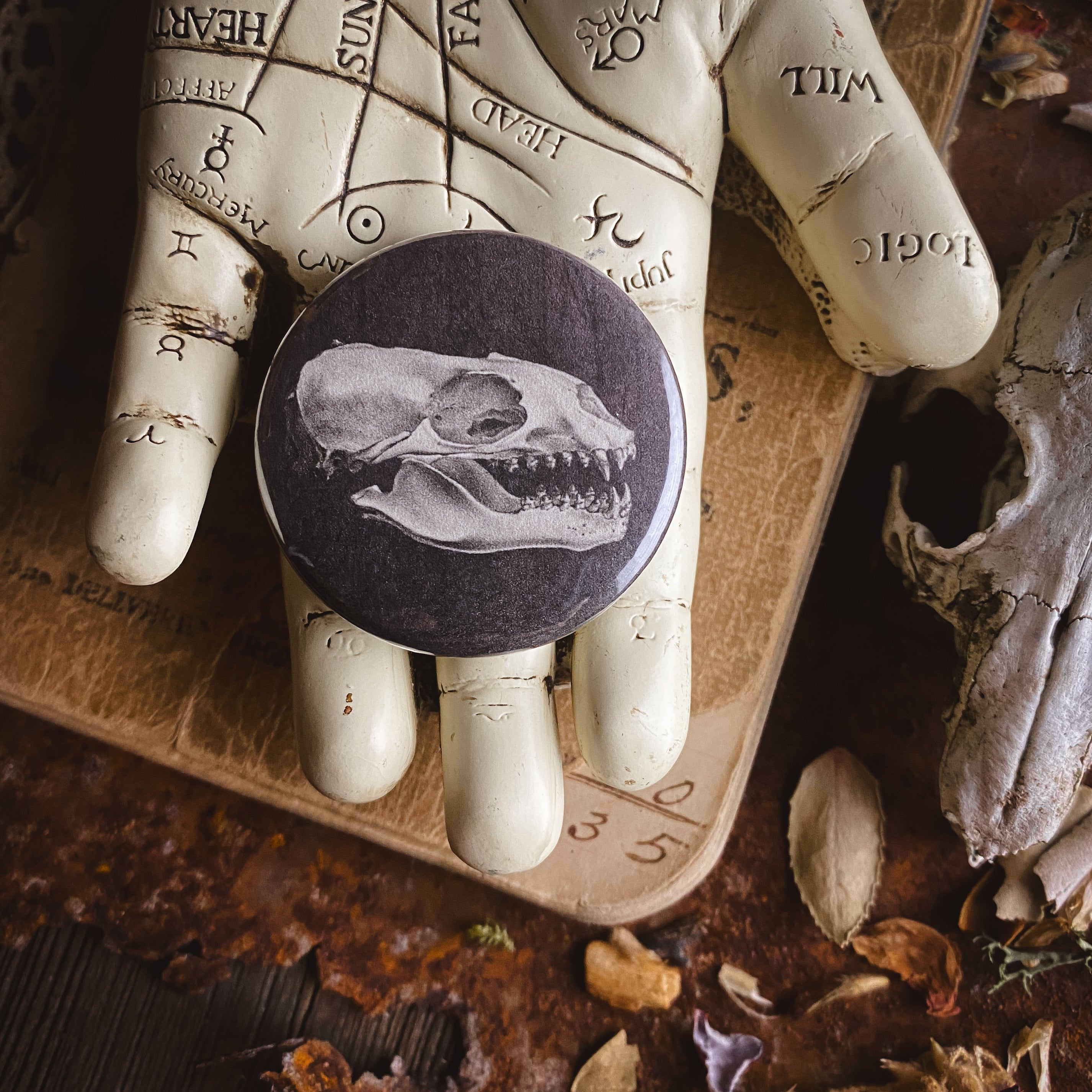 Animal Skull - Hand Pressed Button/Pin - 1.5"