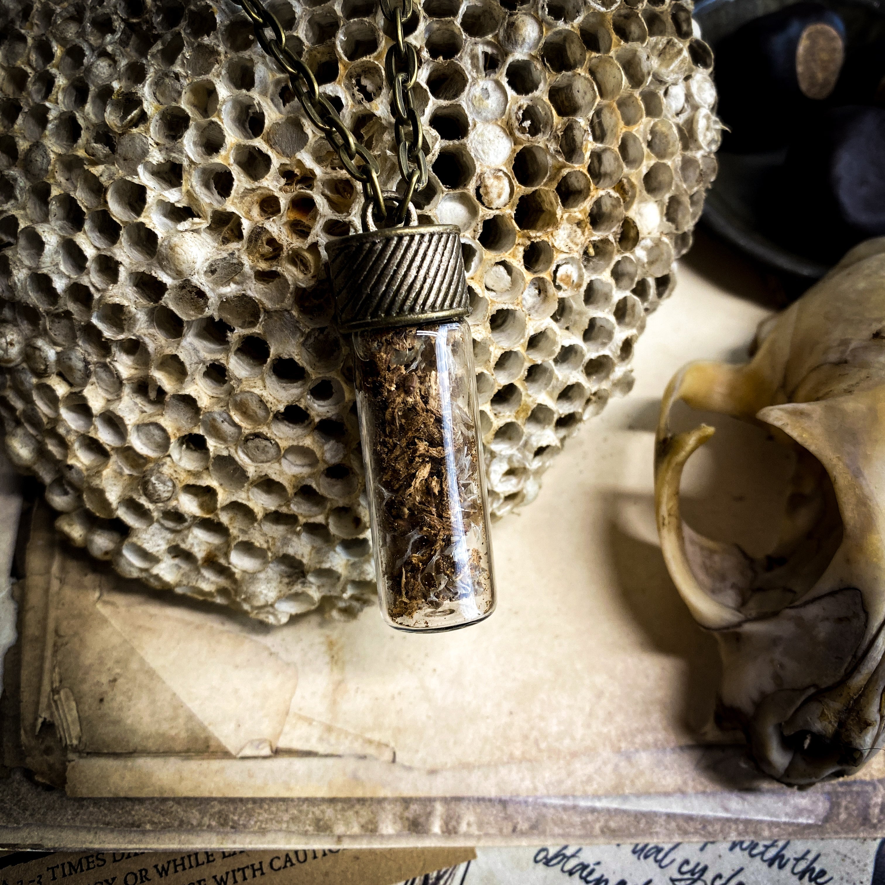 Conjure Necklace for Boundary Setting with Angelica Root + Snake Skin
