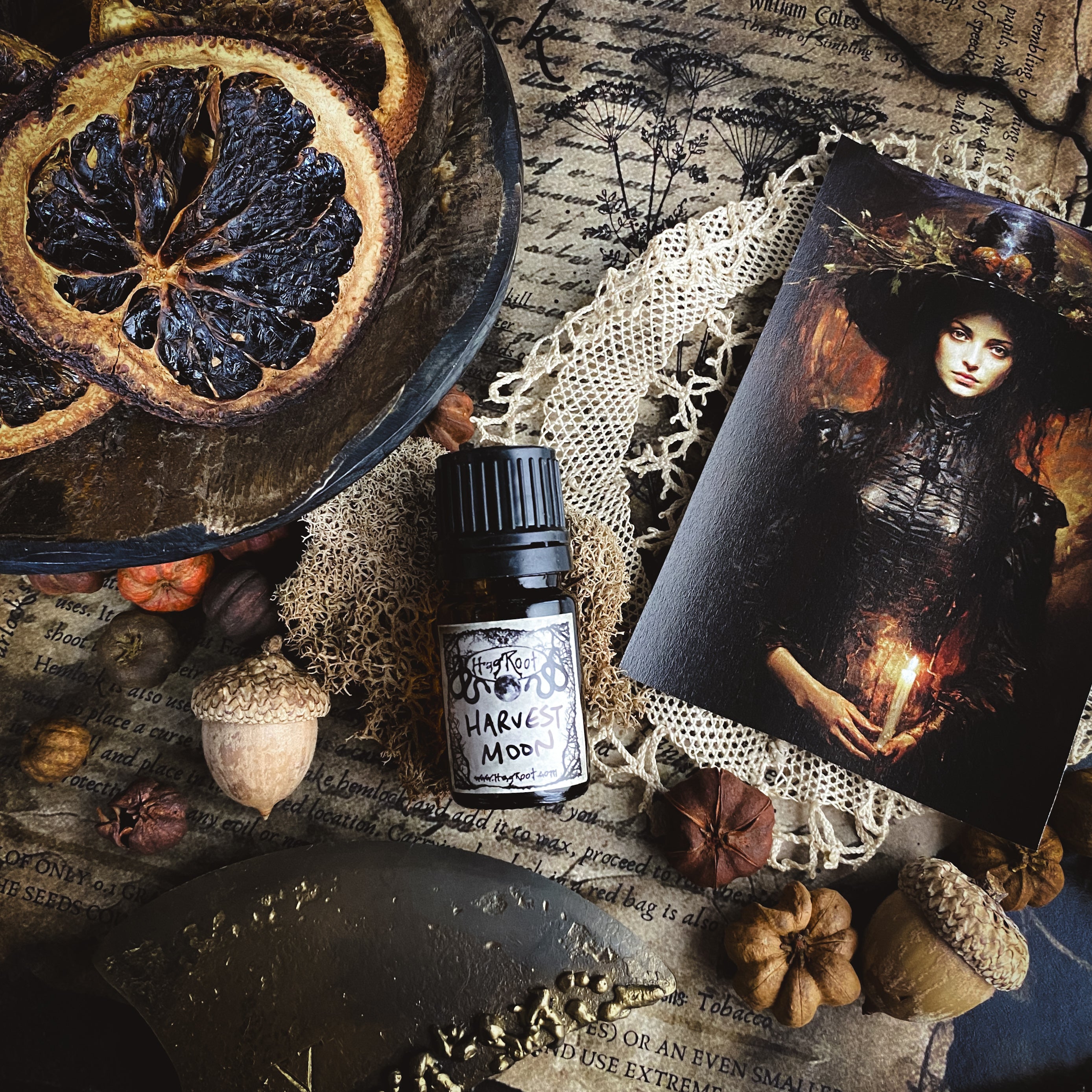 HARVEST MOON-(Pumpkin, Vanilla, Sweet Potato, Fallen Leaves, Brown Sugar, Sandalwood, Musk, Fig)-Perfume, Cologne, Anointing, Ritual Oil