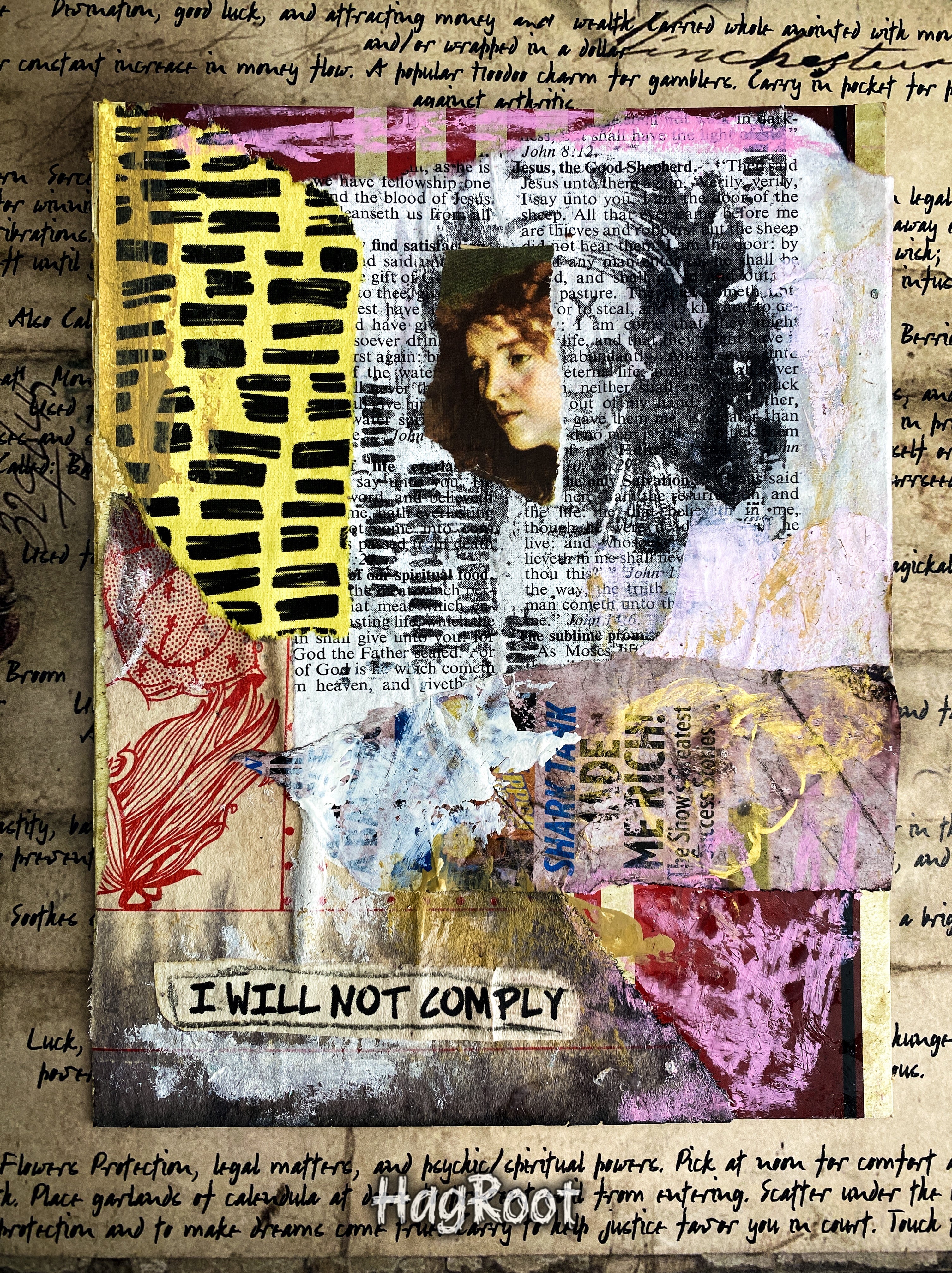 I Will Not Comply - Original Mixed Media Collage