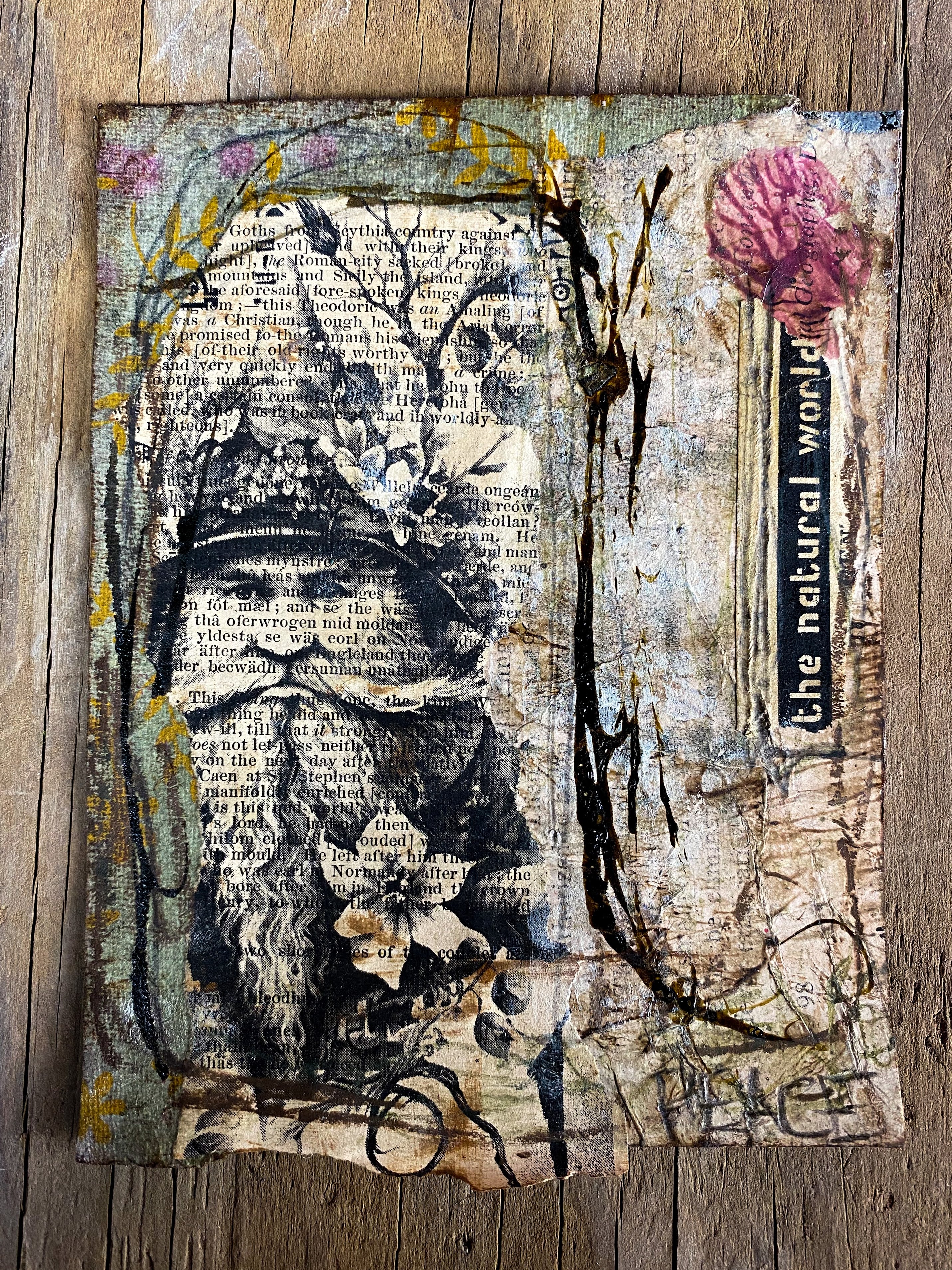 The Natural World - Original Mixed Media Collage
