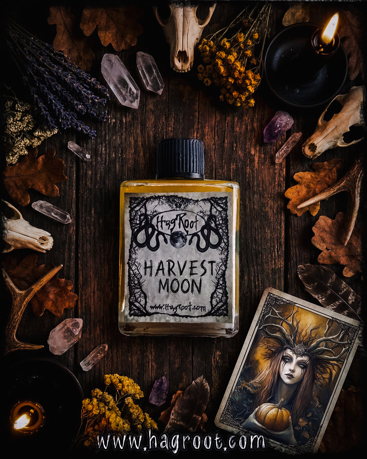 HARVEST MOON-(Pumpkin, Vanilla, Sweet Potato, Fallen Leaves, Brown Sugar, Sandalwood, Musk, Fig)-Perfume, Cologne, Anointing, Ritual Oil