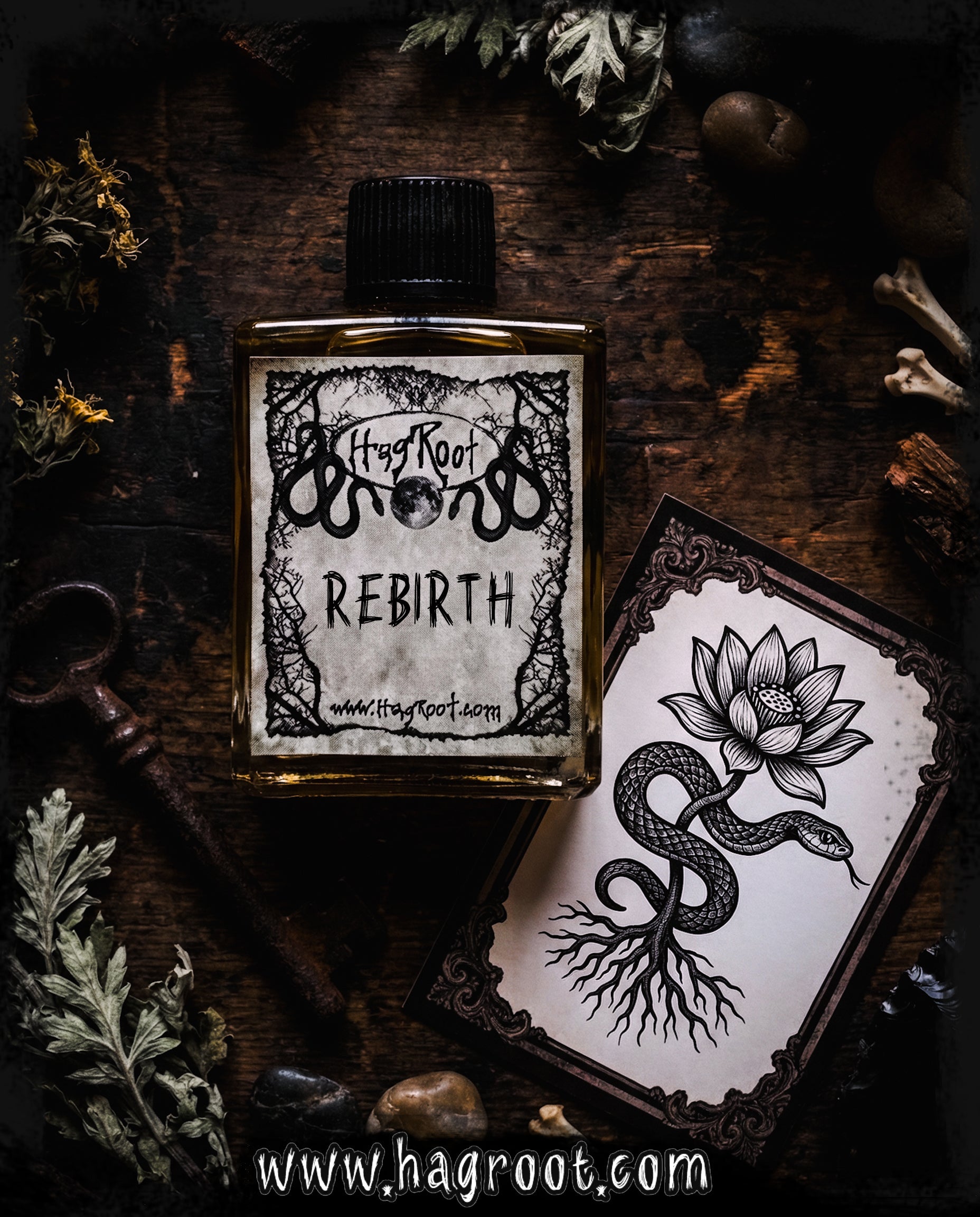 REBIRTH-(Sandalwood, Rose, Ginger, Tobacco, Cardamom, Musk, Oud Wood, Cedar, Frankincense)-Perfume, Cologne, Anointing, Ritual Oil