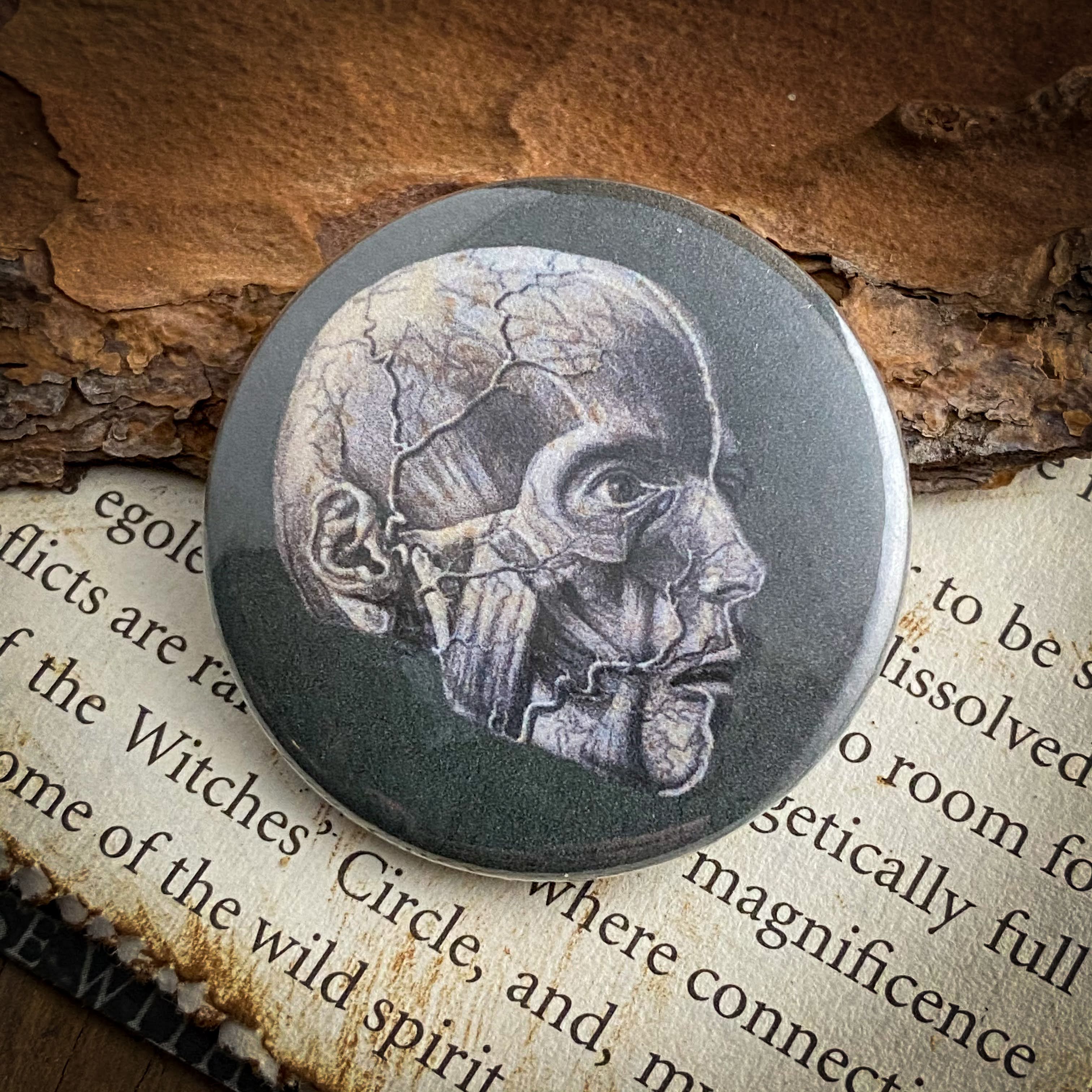 Anatomy - Hand Pressed Button/Pin - 1.5"
