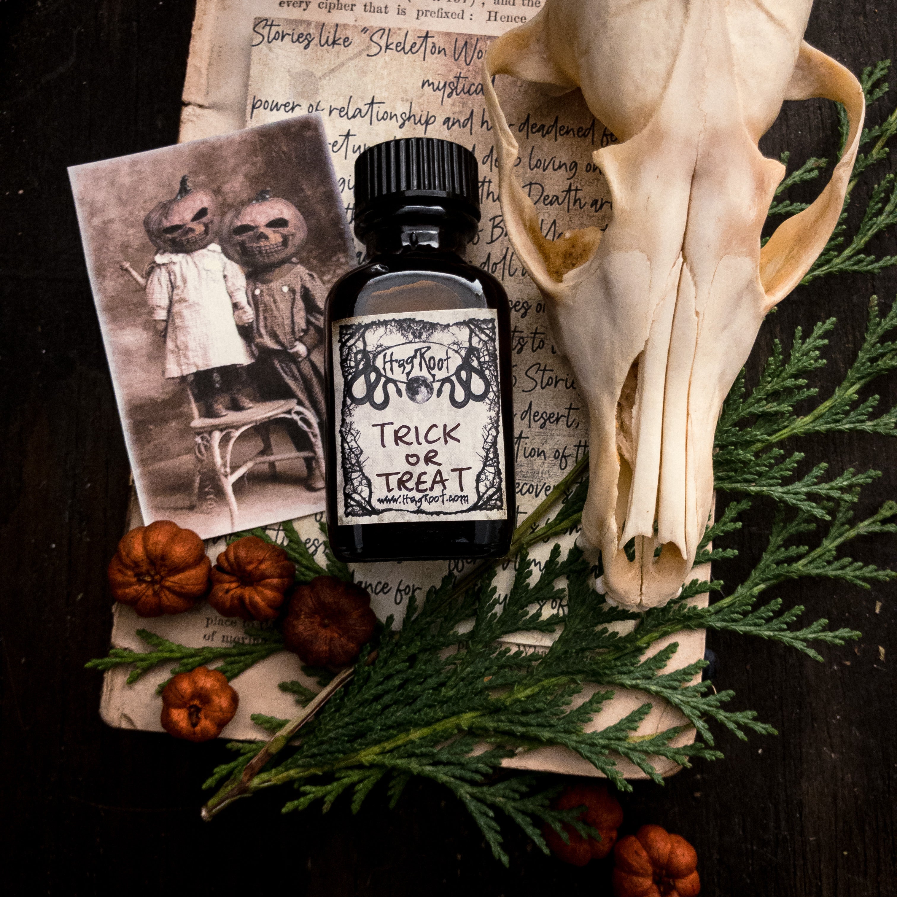 TRICK OR TREAT-(Halloween Candy, Vanilla, Cocoa, Sugar, Strawberry)-Perfume, Cologne, Anointing, Ritual Oil