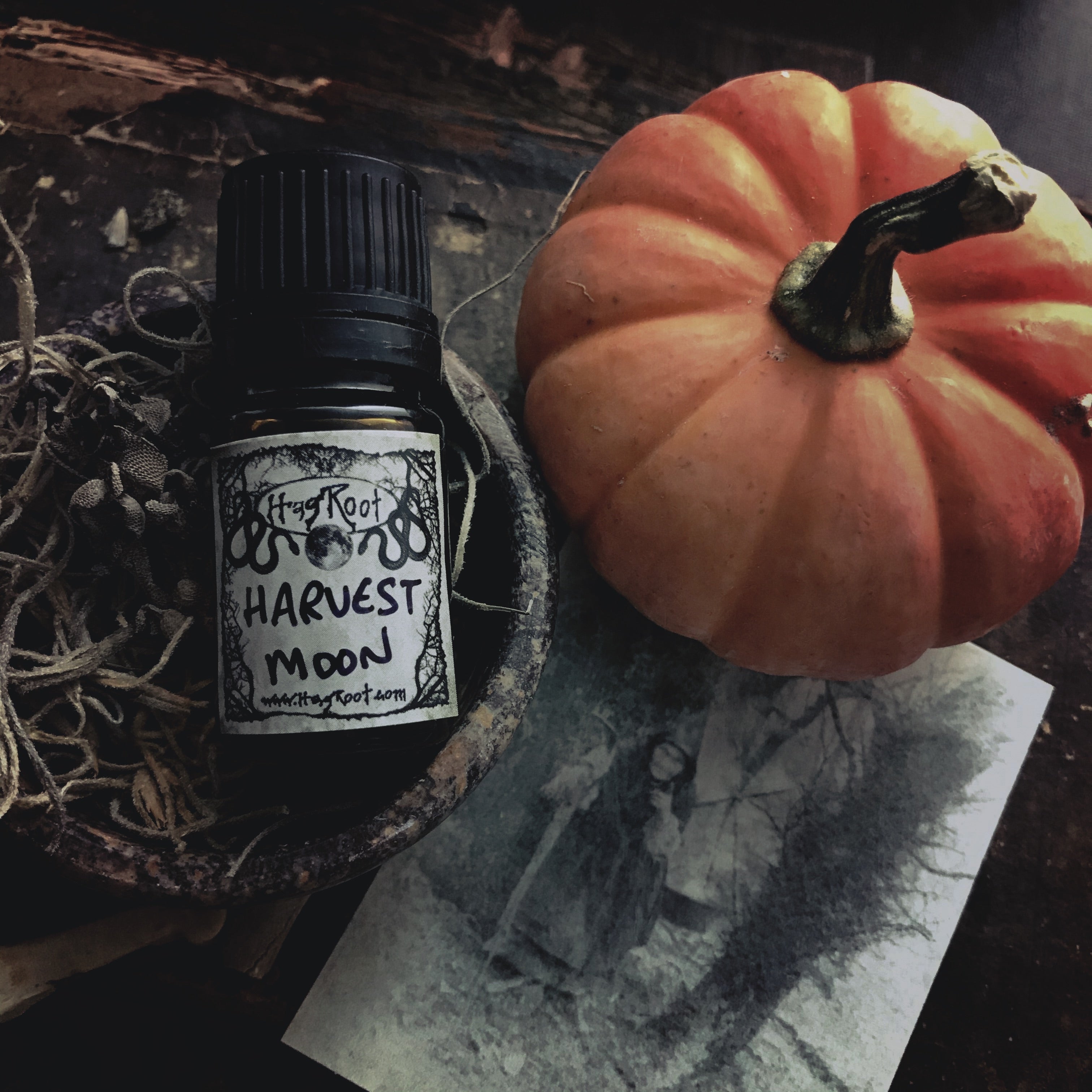 HARVEST MOON-(Pumpkin, Vanilla, Sweet Potato, Fallen Leaves, Brown Sugar, Sandalwood, Musk, Fig)-Perfume, Cologne, Anointing, Ritual Oil