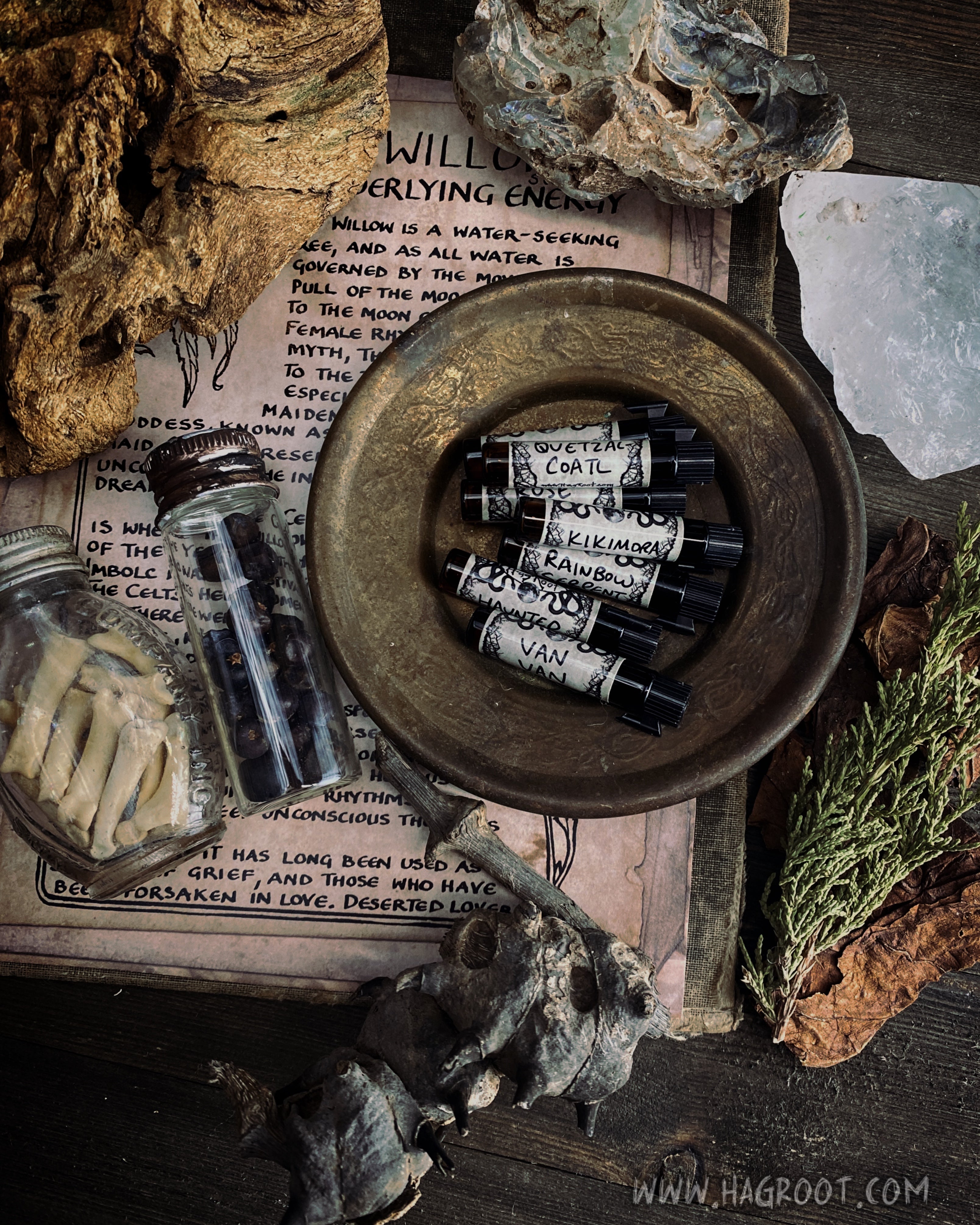 Roots + Ritual