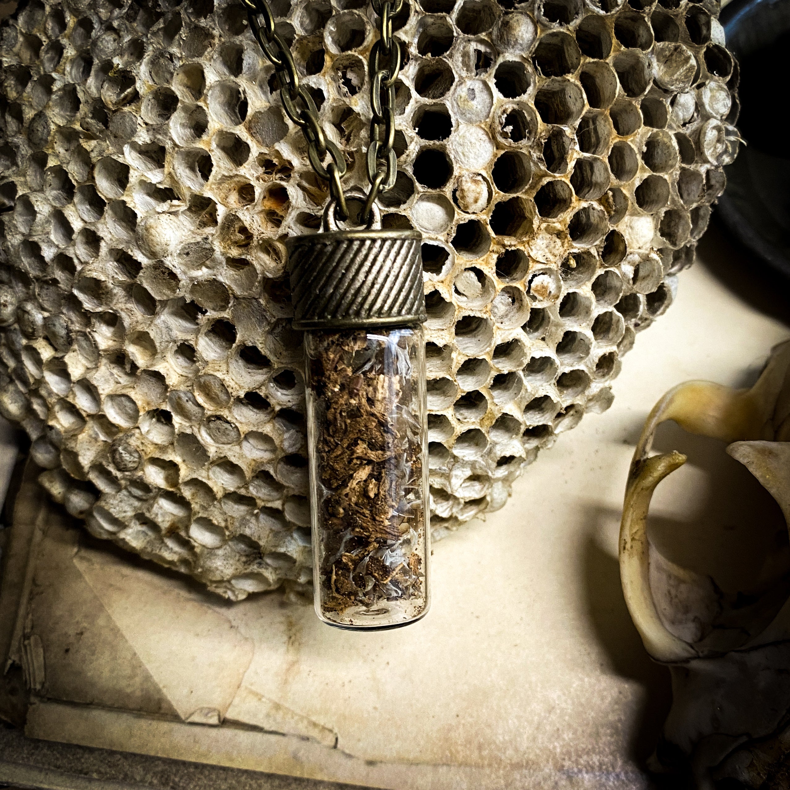 Conjure Necklace for Boundary Setting with Angelica Root + Snake Skin