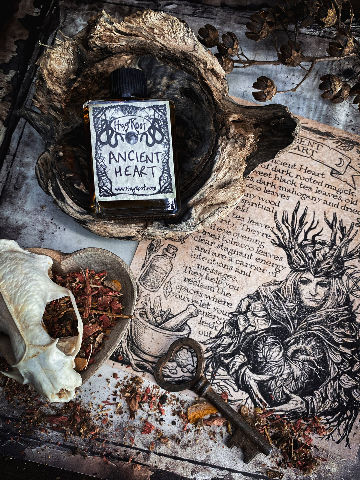 Ancient Heart