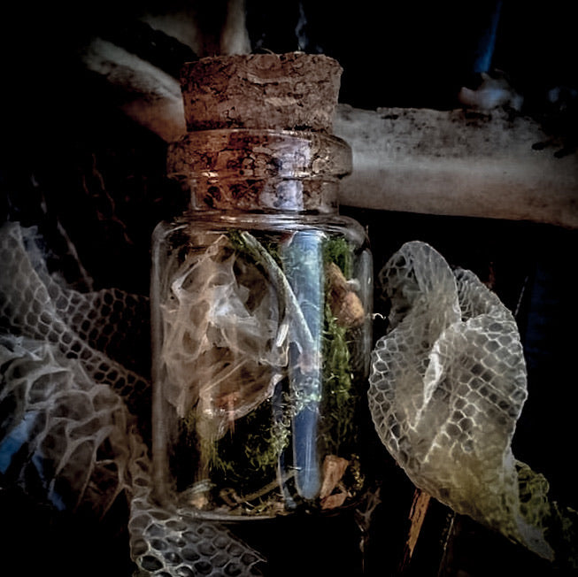 Snake Skin, Moss + Palo Santo Necklace for Transformation, Rebirth, Healing and Dream Recall